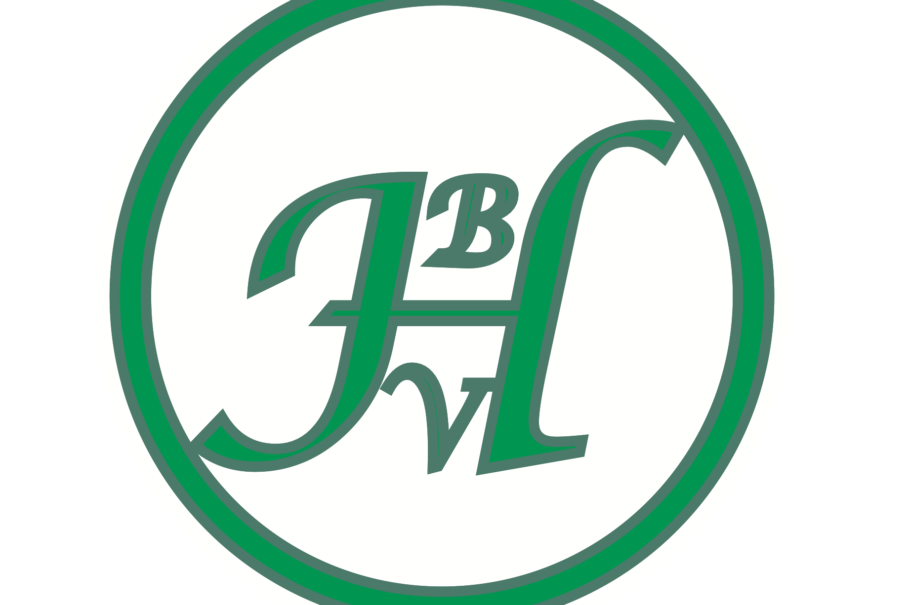 LOGO BVH